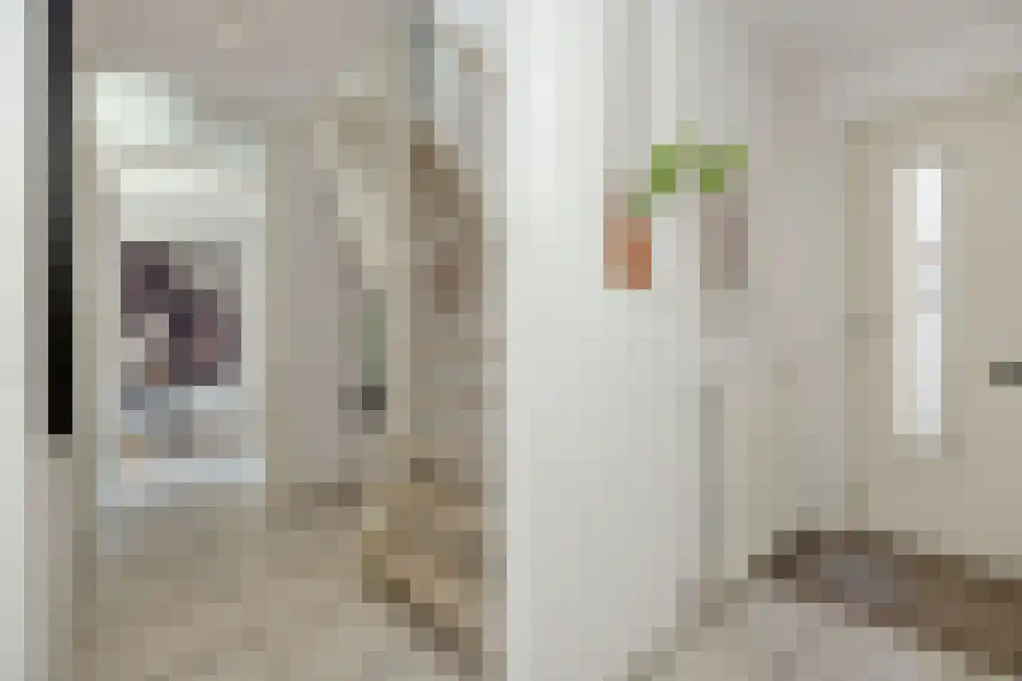 Schout van Gramsbergensingel 73 's-Hertogenbosch thumbnail 19