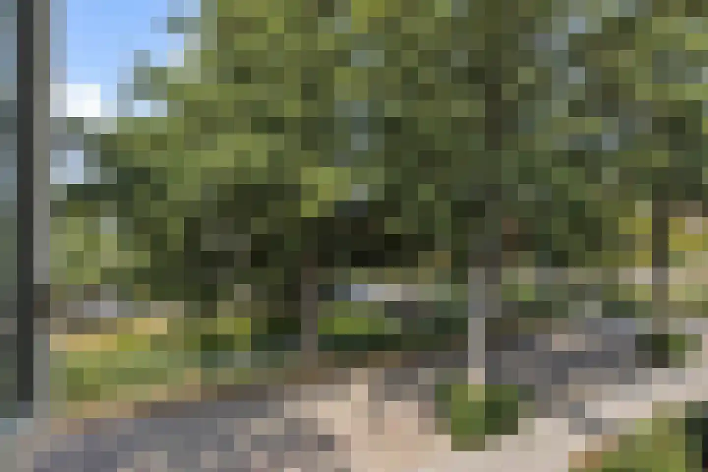 Schout van Gramsbergensingel 73 's-Hertogenbosch thumbnail 23