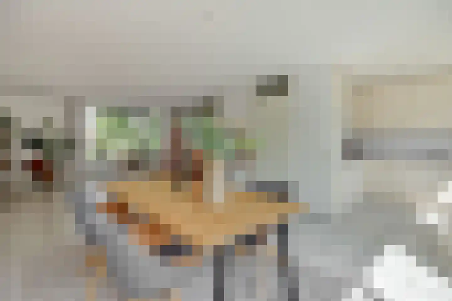 Schout van Gramsbergensingel 73 's-Hertogenbosch thumbnail 4