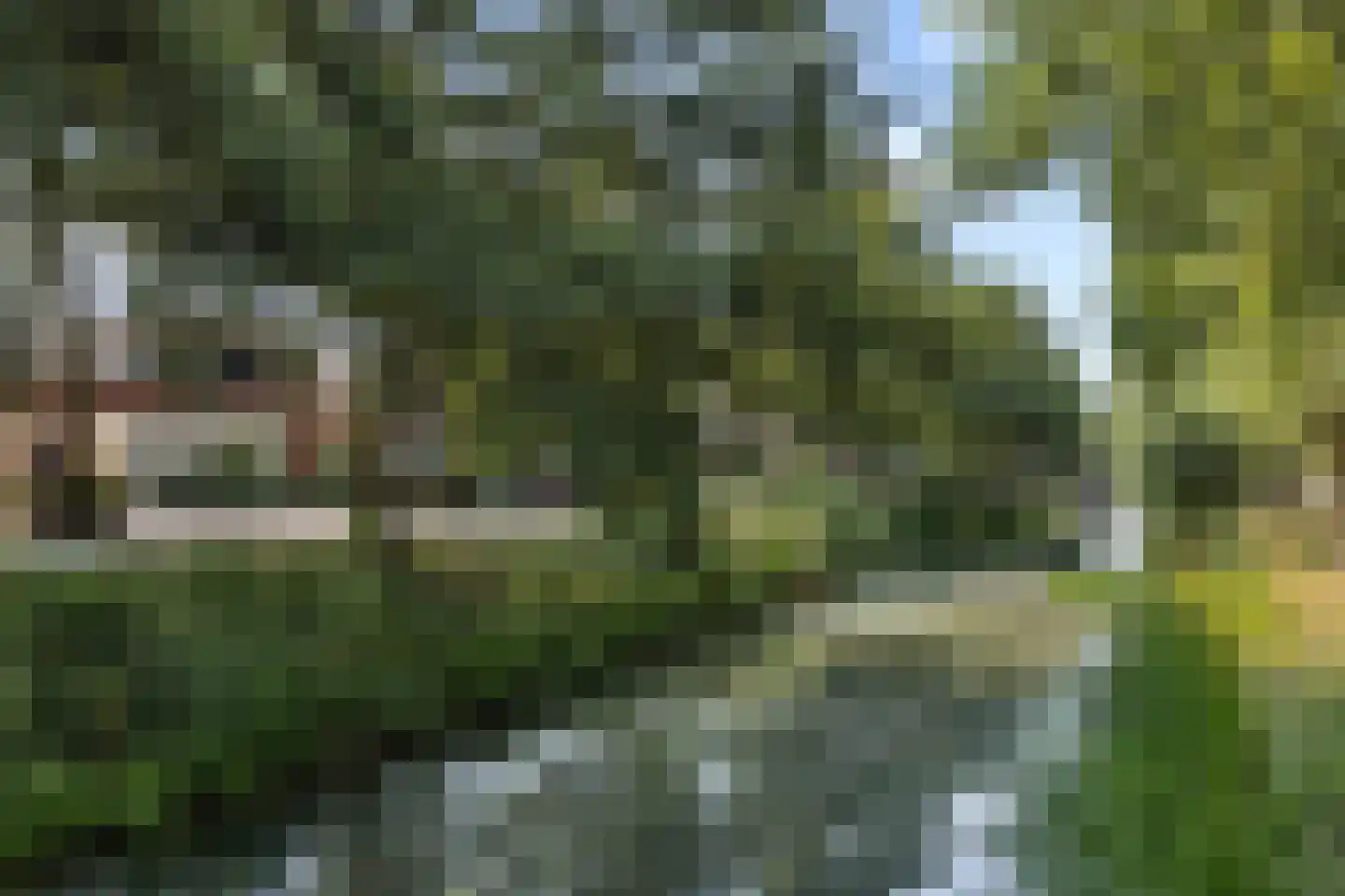 Schout van Gramsbergensingel 73 's-Hertogenbosch thumbnail 5