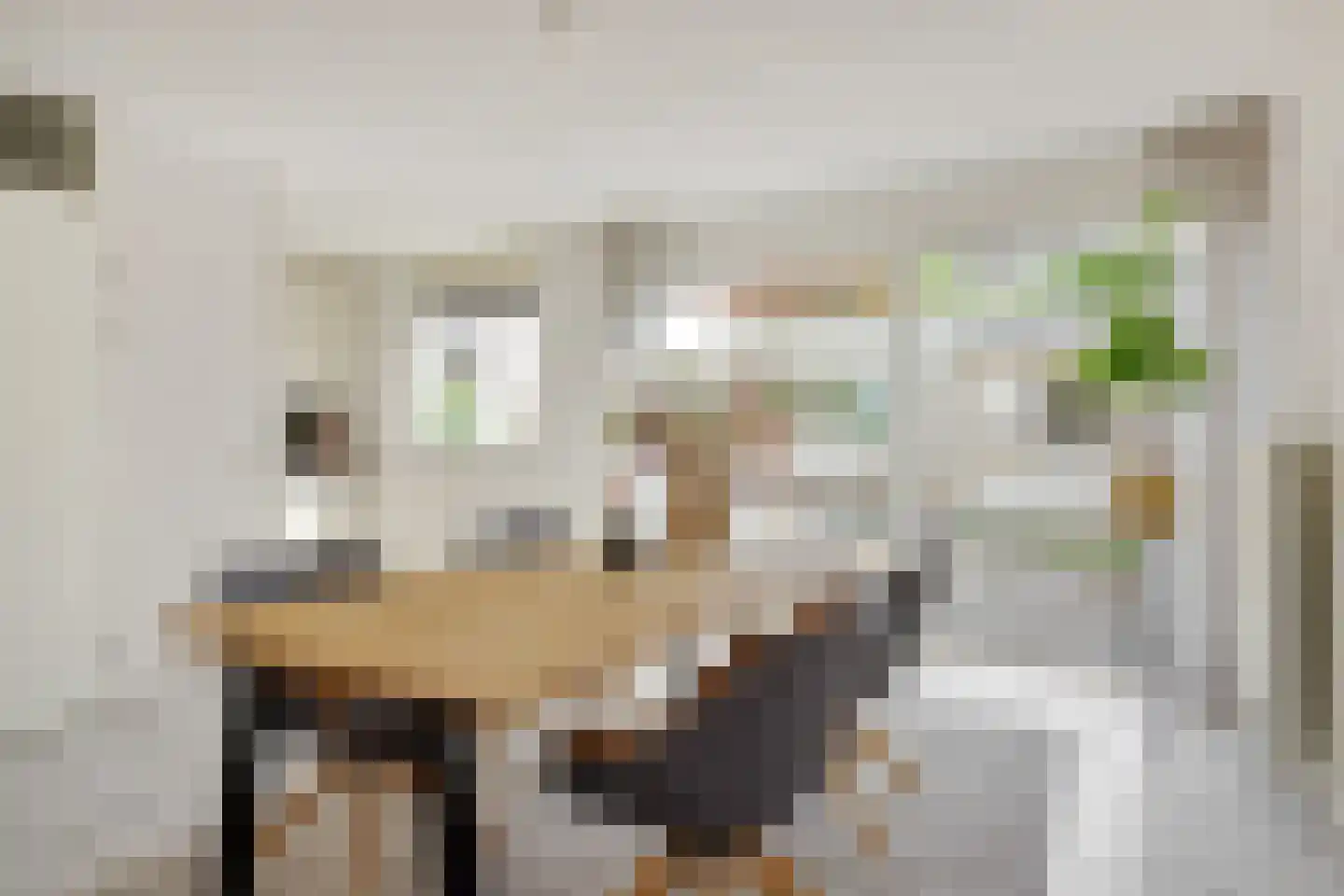 Schout van Gramsbergensingel 73 's-Hertogenbosch thumbnail 8