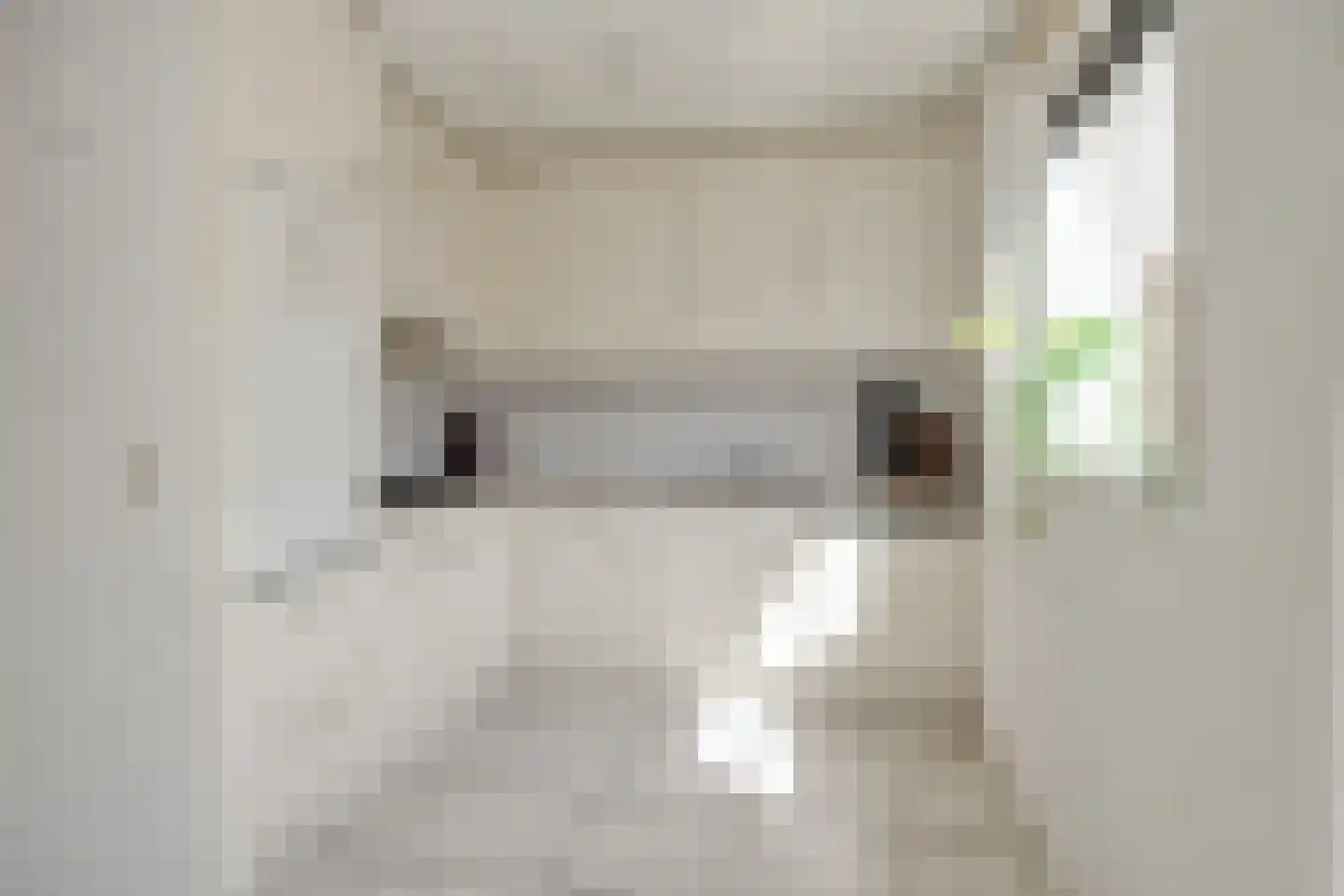 Schout van Gramsbergensingel 73 's-Hertogenbosch thumbnail 9