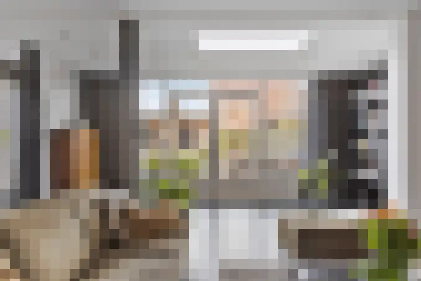 Schout van Haestrechtsingel 2 's-Hertogenbosch thumbnail 10