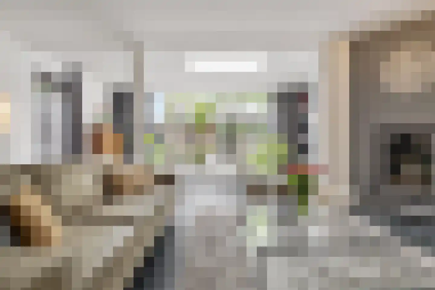 Schout van Haestrechtsingel 2 's-Hertogenbosch thumbnail 10