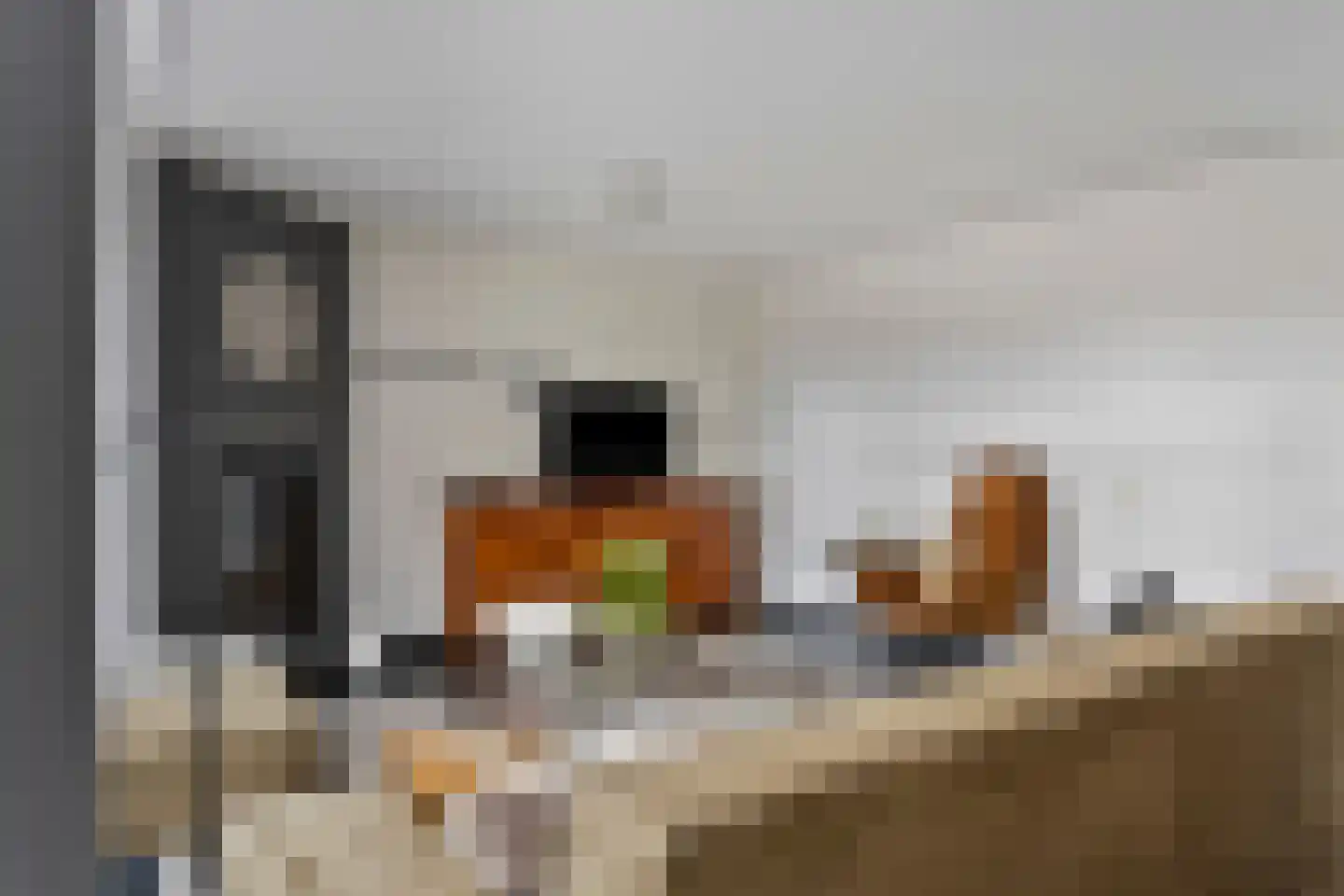Schout van Haestrechtsingel 2 's-Hertogenbosch thumbnail 11
