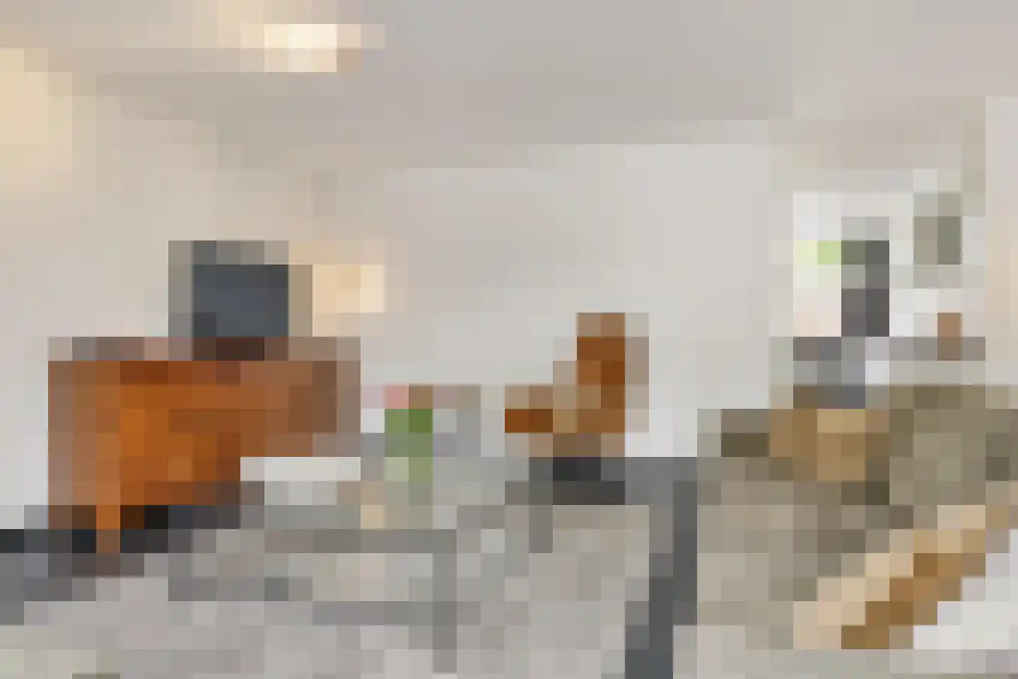 Schout van Haestrechtsingel 2 's-Hertogenbosch thumbnail 11