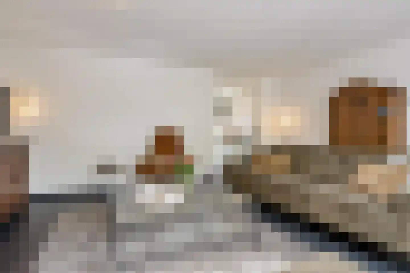 Schout van Haestrechtsingel 2 's-Hertogenbosch thumbnail 12
