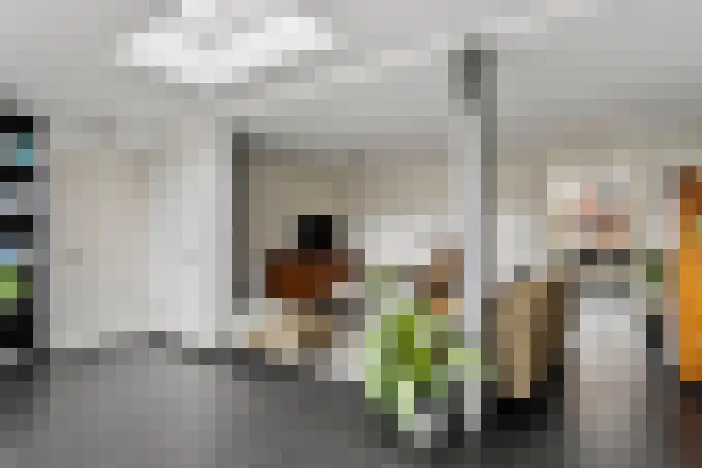 Schout van Haestrechtsingel 2 's-Hertogenbosch thumbnail 12