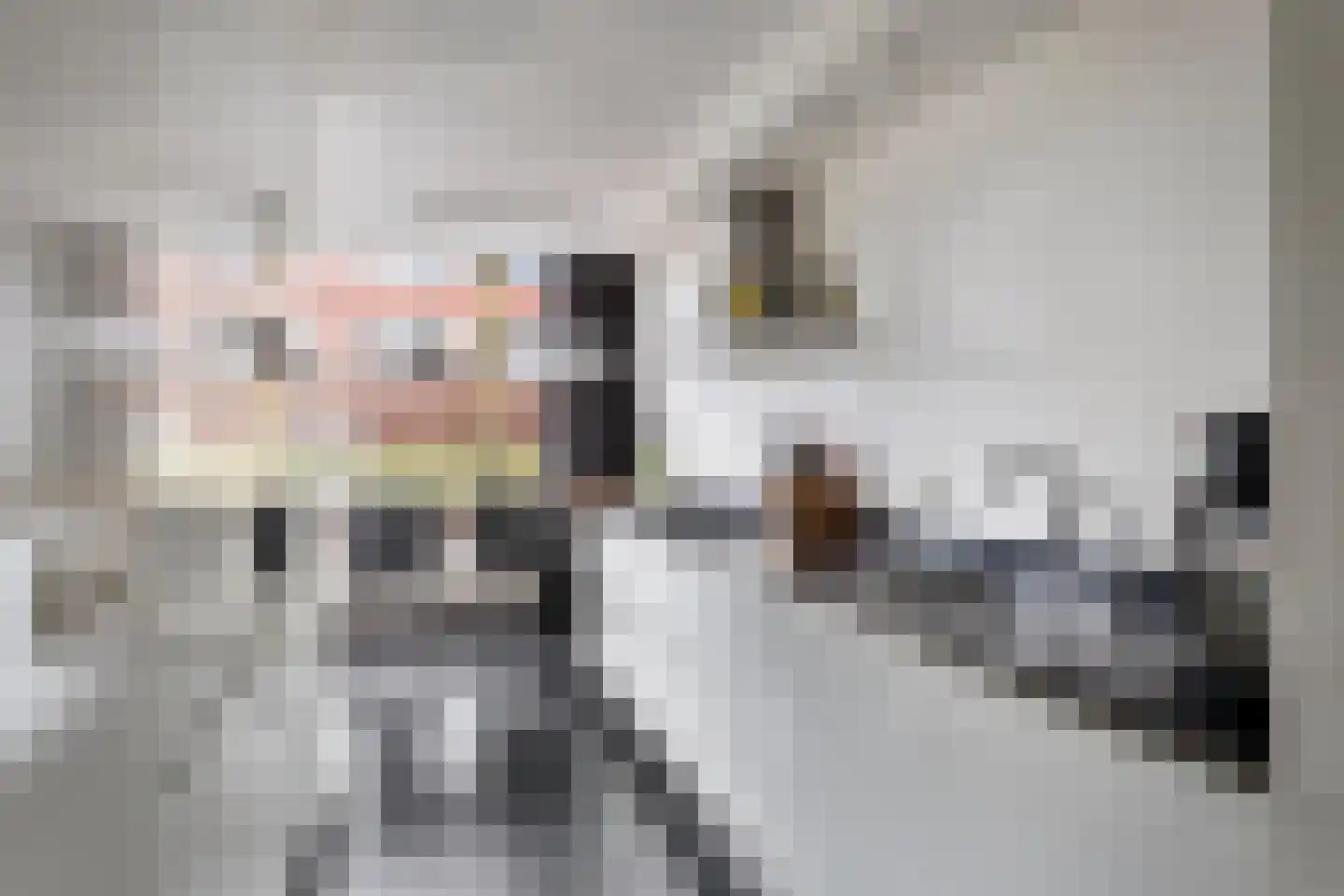 Schout van Haestrechtsingel 2 's-Hertogenbosch thumbnail 14