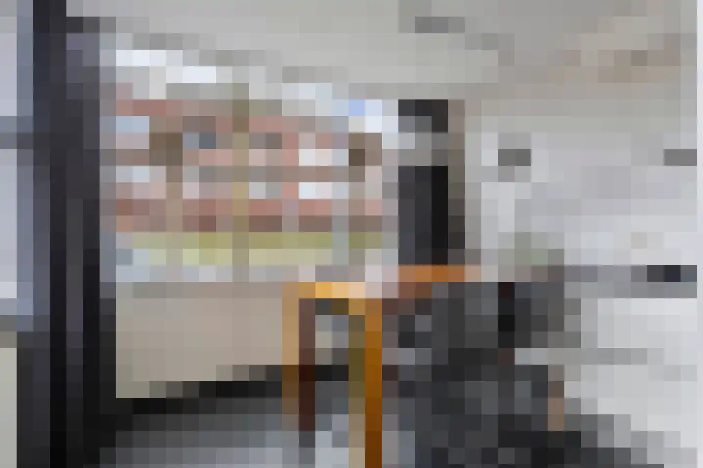 Schout van Haestrechtsingel 2 's-Hertogenbosch thumbnail 15