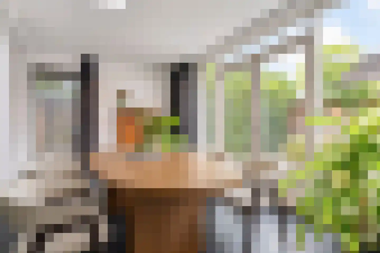 Schout van Haestrechtsingel 2 's-Hertogenbosch thumbnail 15