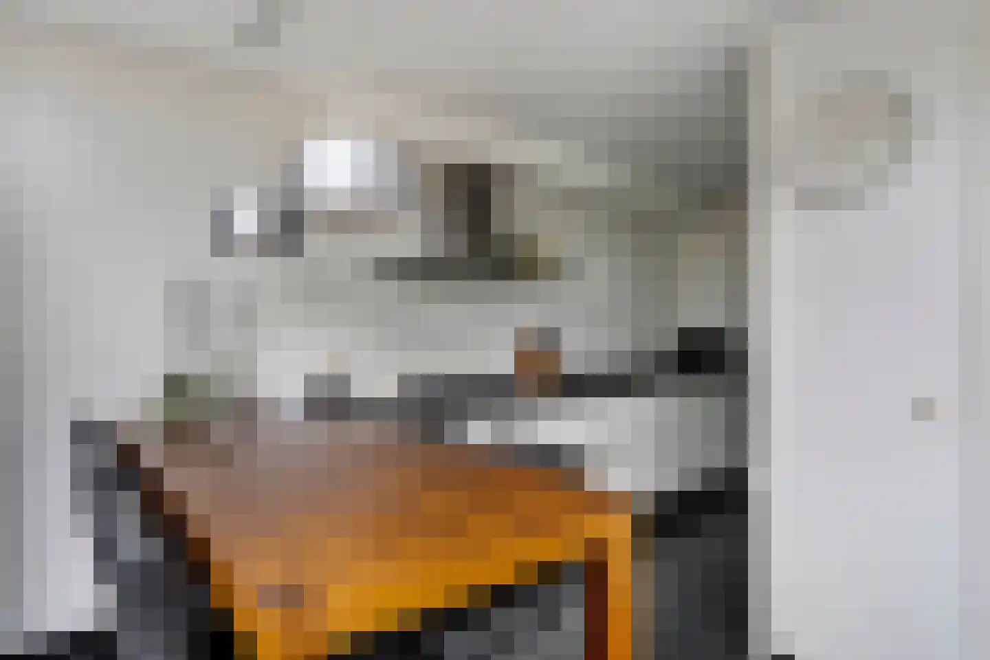Schout van Haestrechtsingel 2 's-Hertogenbosch thumbnail 16