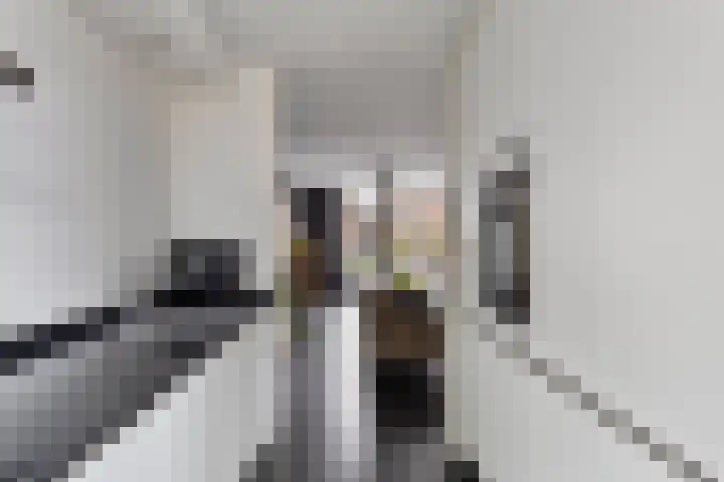 Schout van Haestrechtsingel 2 's-Hertogenbosch thumbnail 17