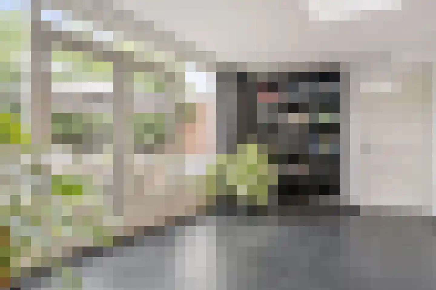 Schout van Haestrechtsingel 2 's-Hertogenbosch thumbnail 17