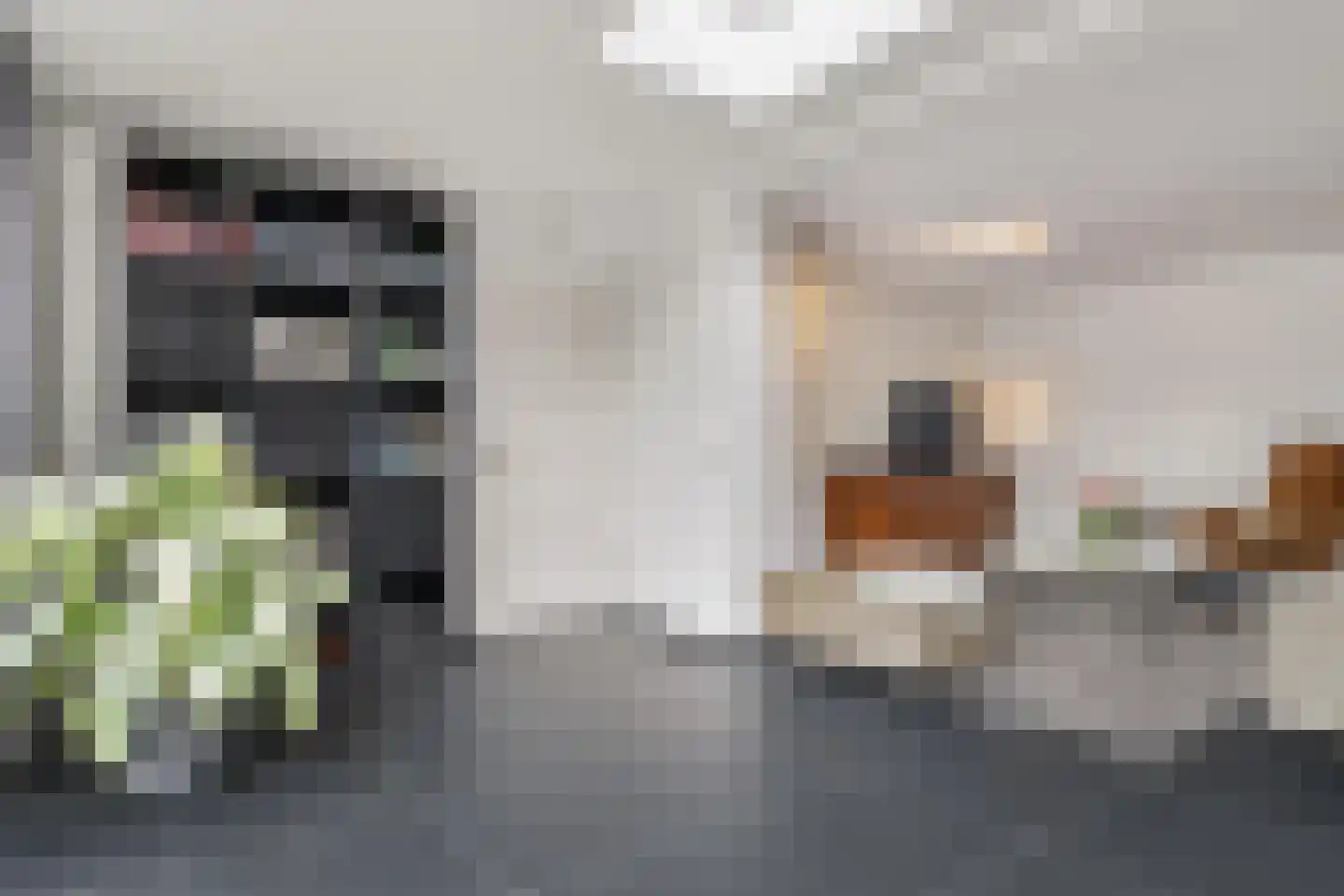 Schout van Haestrechtsingel 2 's-Hertogenbosch thumbnail 18