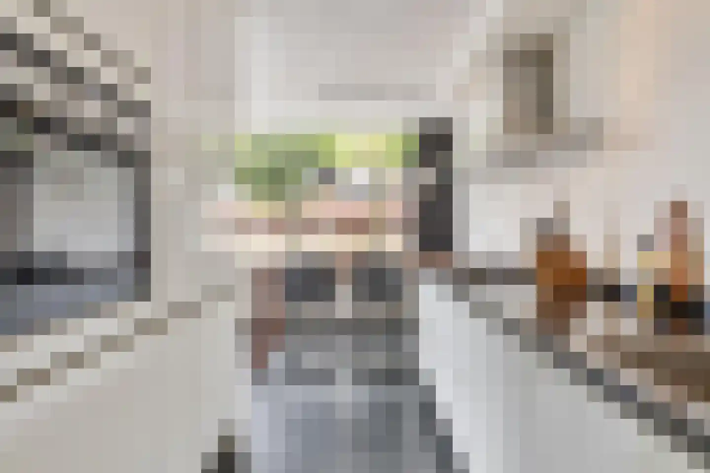 Schout van Haestrechtsingel 2 's-Hertogenbosch thumbnail 19