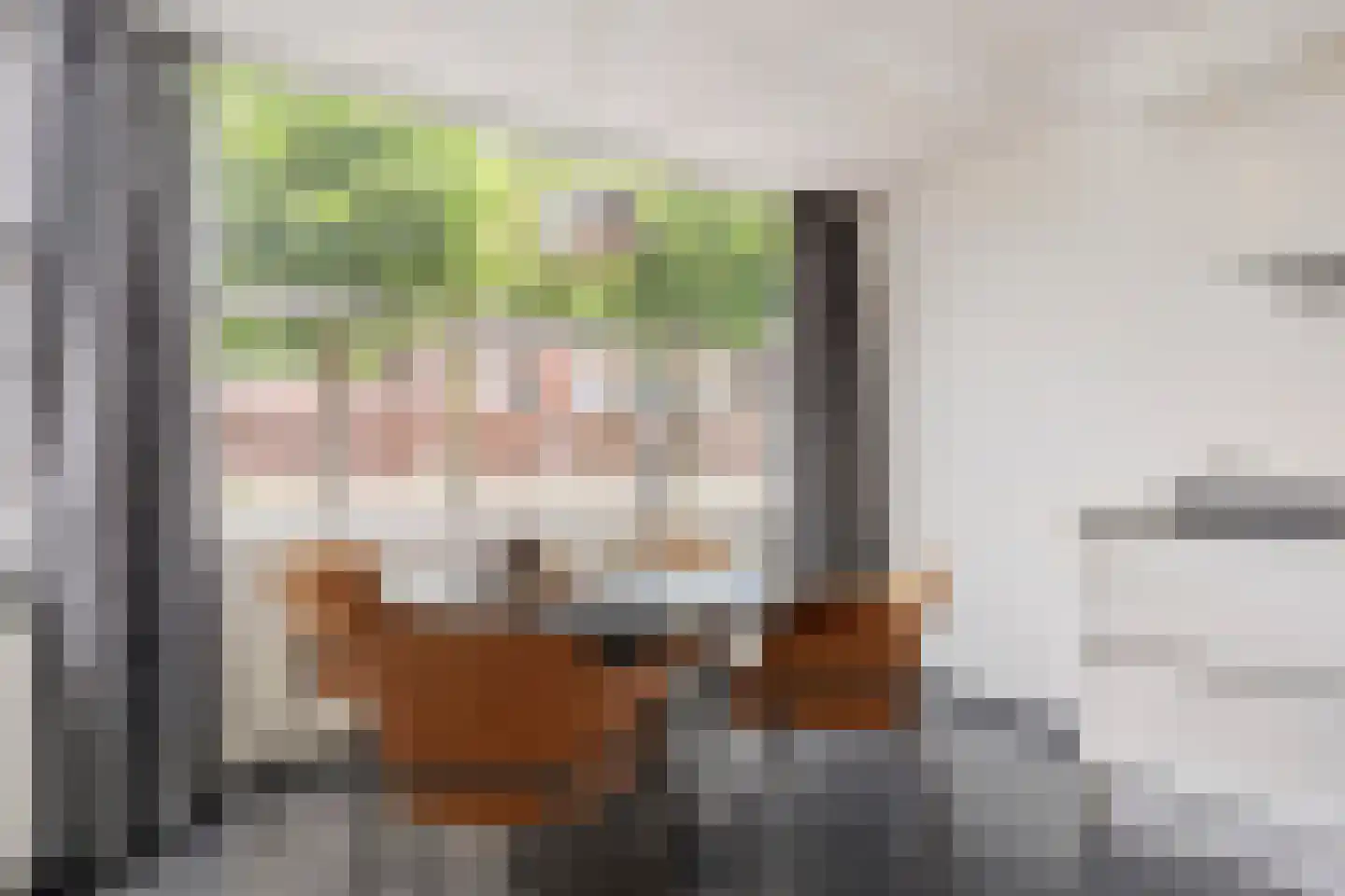 Schout van Haestrechtsingel 2 's-Hertogenbosch thumbnail 22