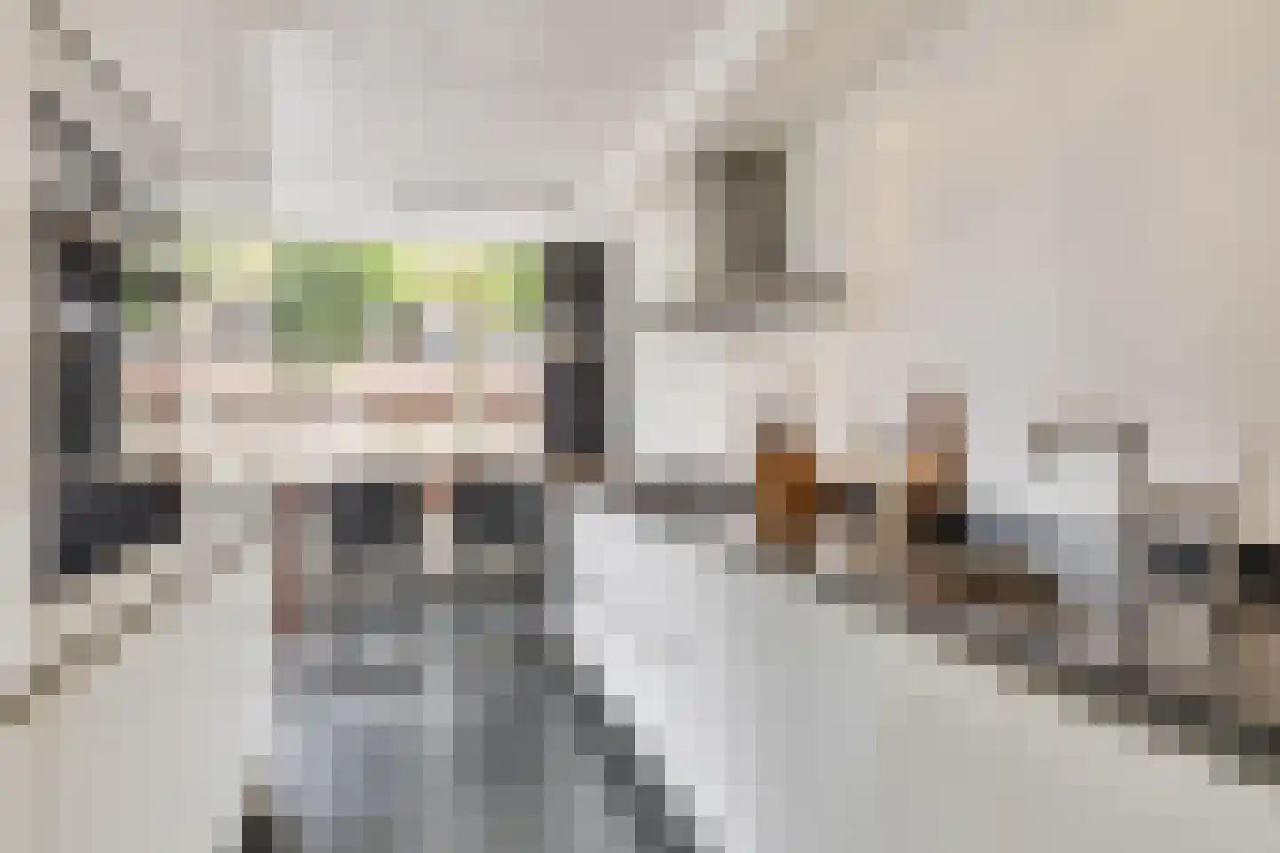 Schout van Haestrechtsingel 2 's-Hertogenbosch thumbnail 23