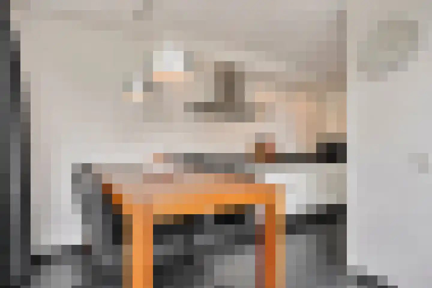 Schout van Haestrechtsingel 2 's-Hertogenbosch thumbnail 24