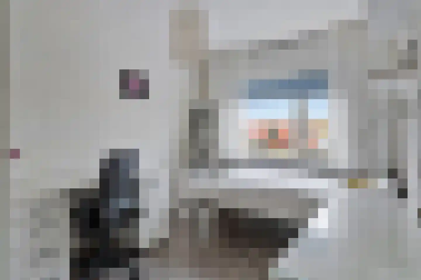 Schout van Haestrechtsingel 2 's-Hertogenbosch thumbnail 25