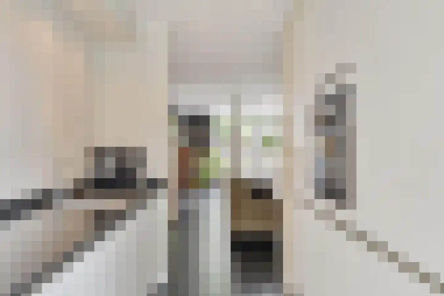 Schout van Haestrechtsingel 2 's-Hertogenbosch thumbnail 27