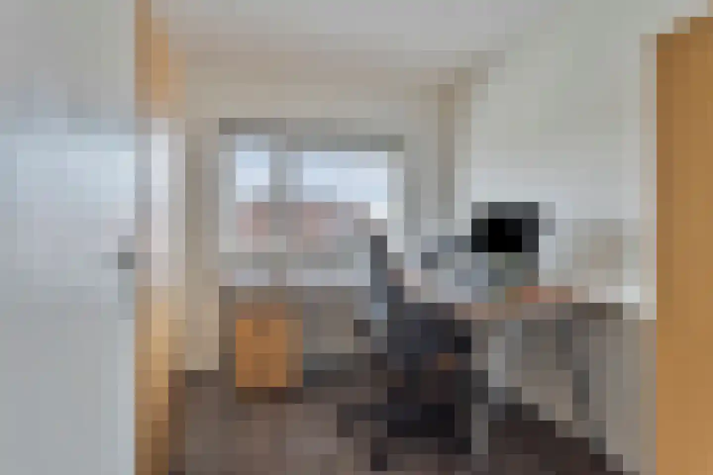 Schout van Haestrechtsingel 2 's-Hertogenbosch thumbnail 31