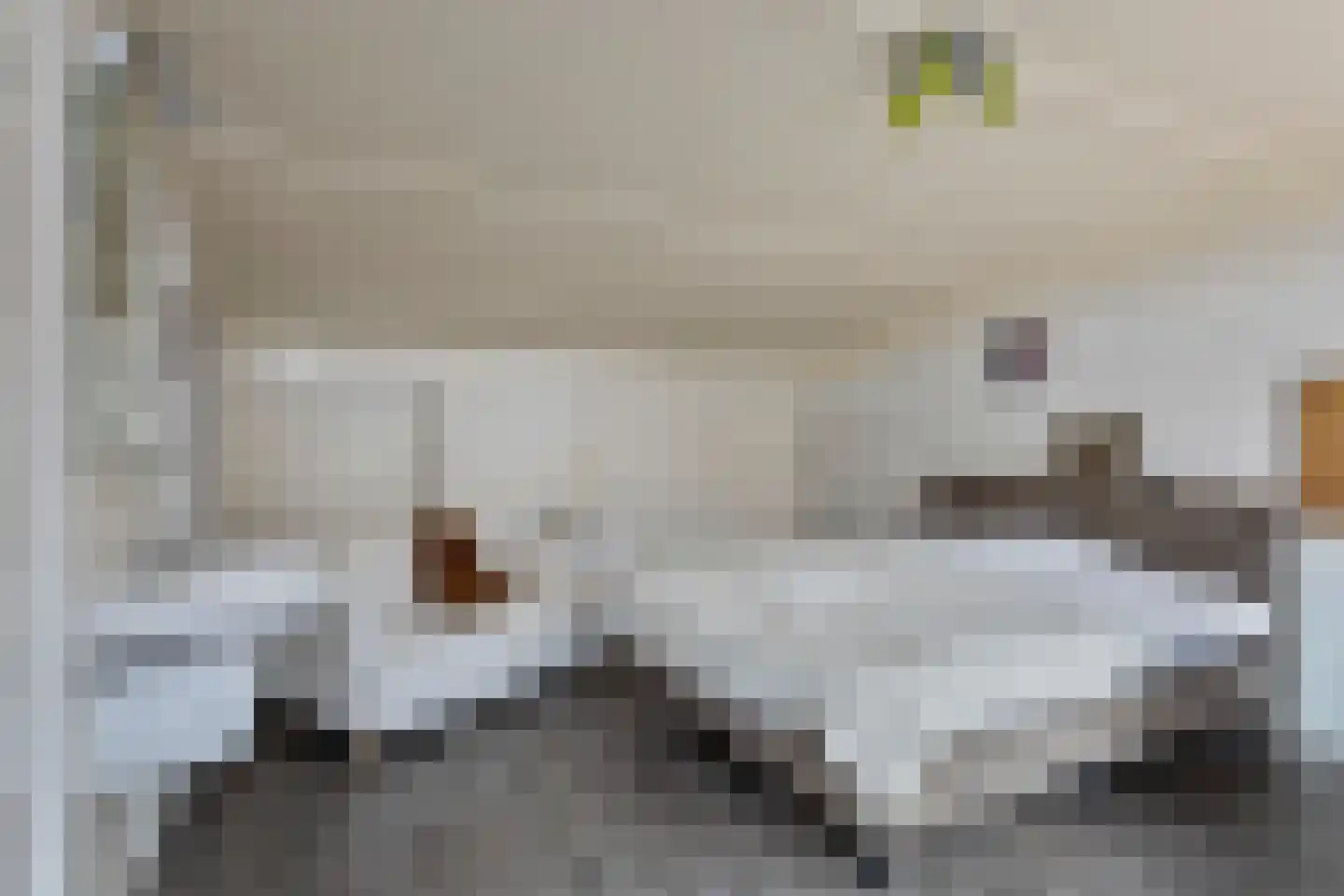 Schout van Haestrechtsingel 2 's-Hertogenbosch thumbnail 33