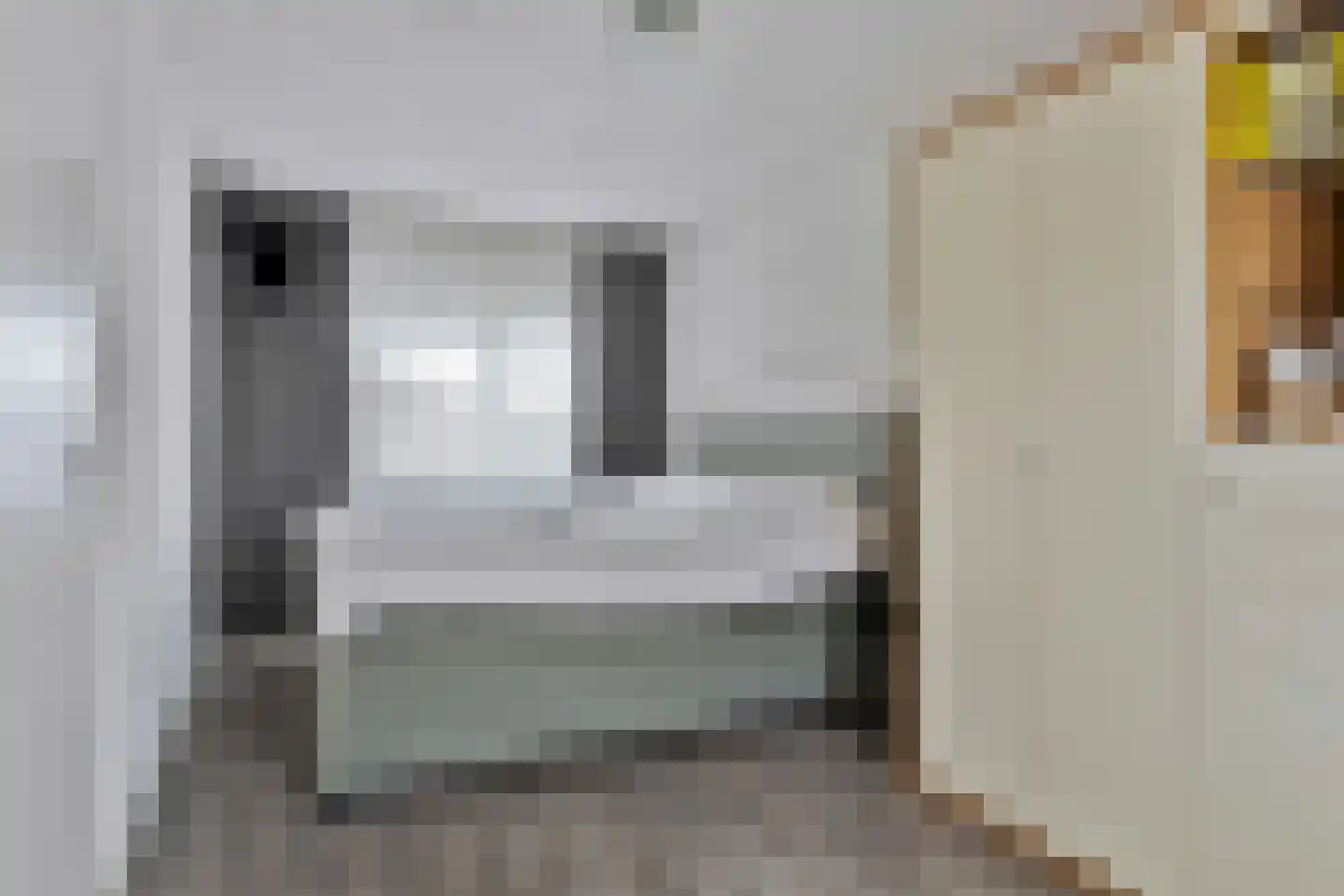 Schout van Haestrechtsingel 2 's-Hertogenbosch thumbnail 33