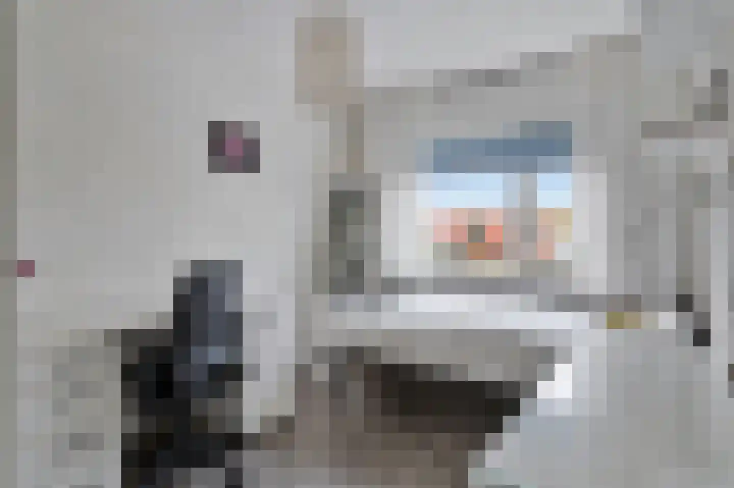 Schout van Haestrechtsingel 2 's-Hertogenbosch thumbnail 34