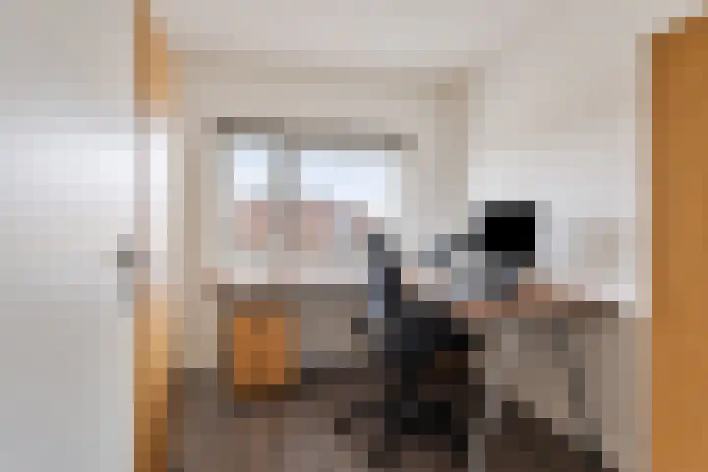 Schout van Haestrechtsingel 2 's-Hertogenbosch thumbnail 40