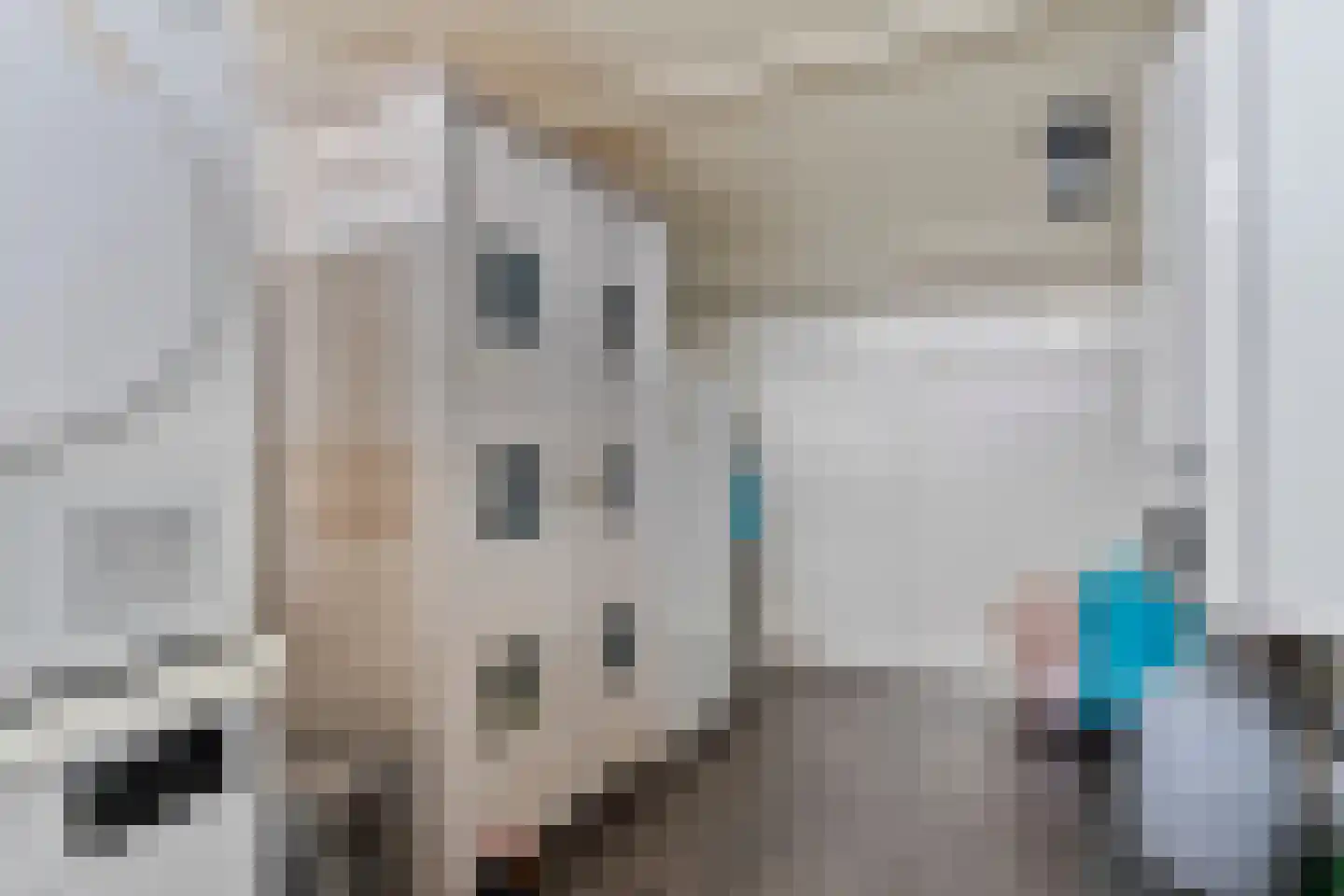 Schout van Haestrechtsingel 2 's-Hertogenbosch thumbnail 41