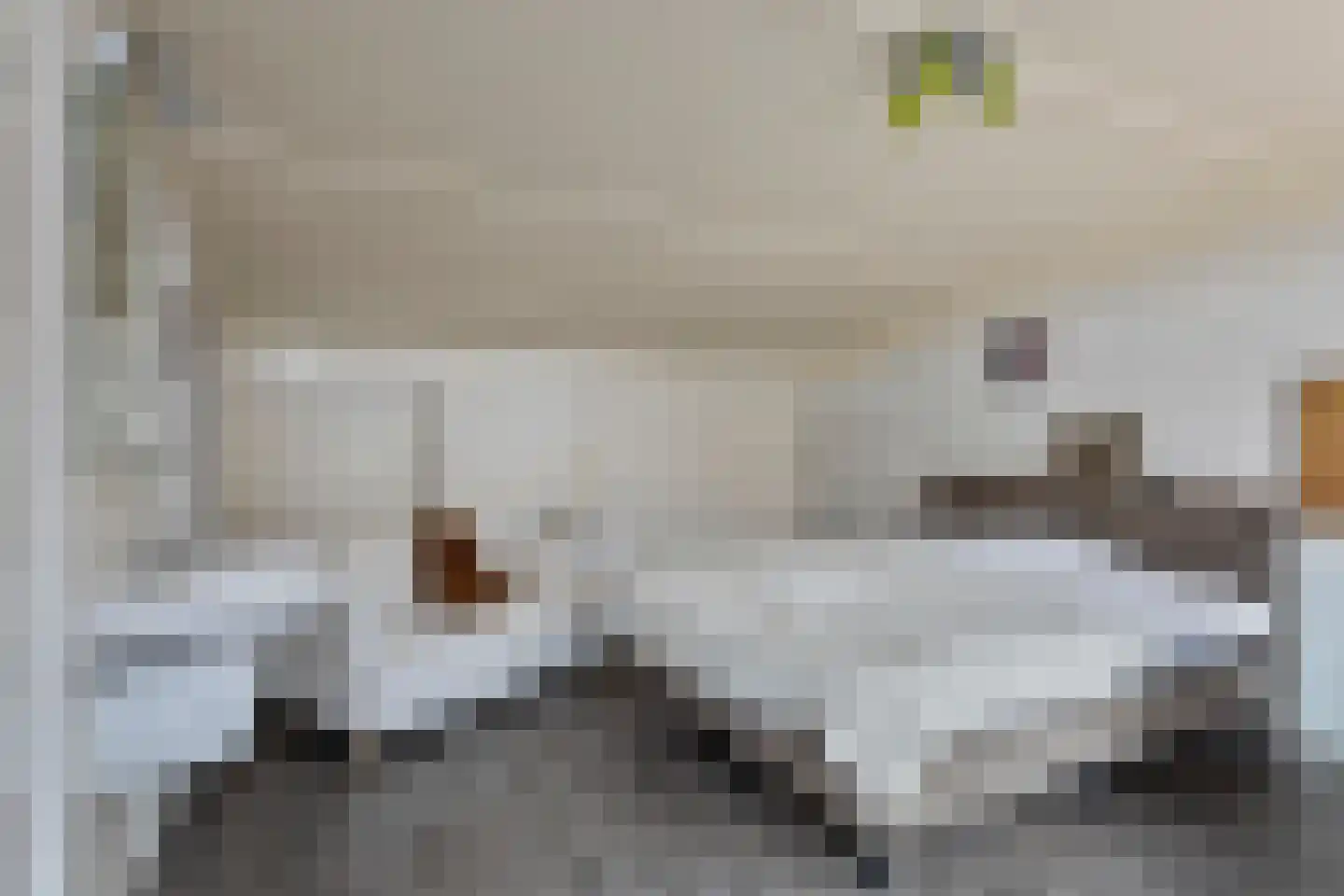 Schout van Haestrechtsingel 2 's-Hertogenbosch thumbnail 42