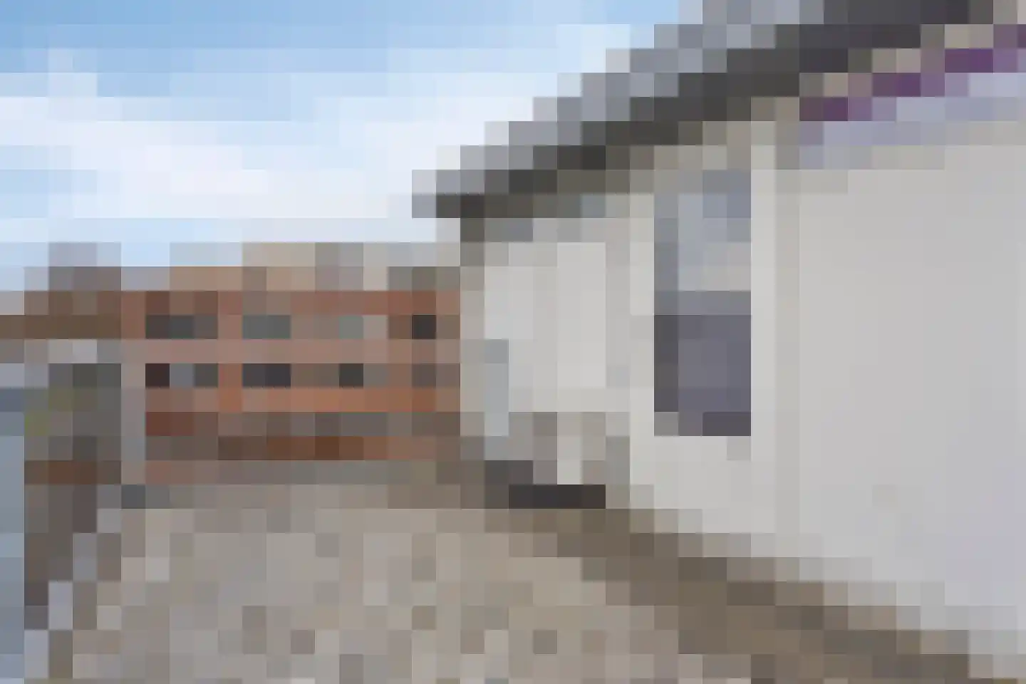 Schout van Haestrechtsingel 2 's-Hertogenbosch thumbnail 44