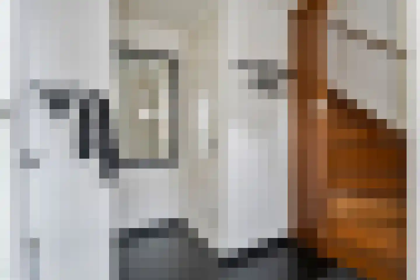 Schout van Haestrechtsingel 2 's-Hertogenbosch thumbnail 5
