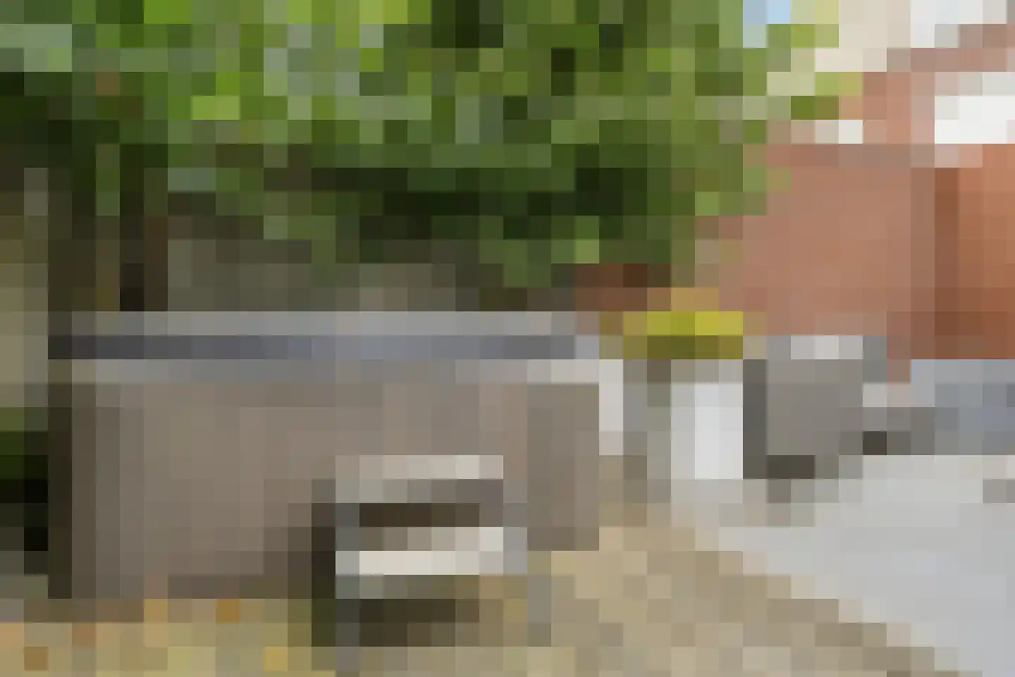 Schout van Haestrechtsingel 2 's-Hertogenbosch thumbnail 51