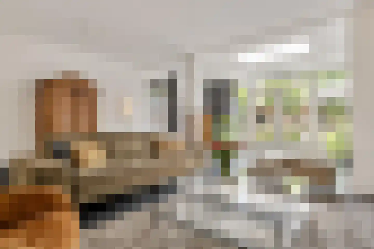 Schout van Haestrechtsingel 2 's-Hertogenbosch thumbnail 7