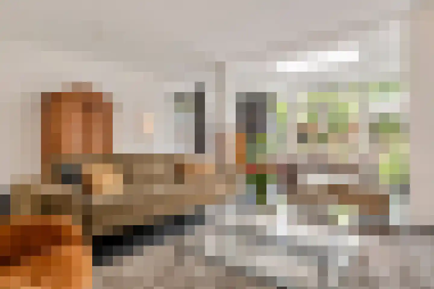 Schout van Haestrechtsingel 2 's-Hertogenbosch thumbnail 8