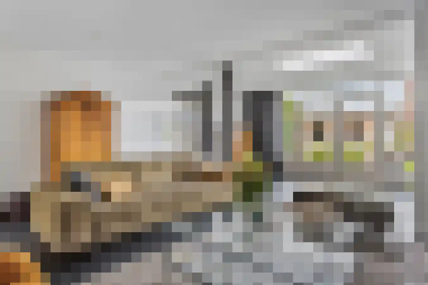 Schout van Haestrechtsingel 2 's-Hertogenbosch thumbnail 9