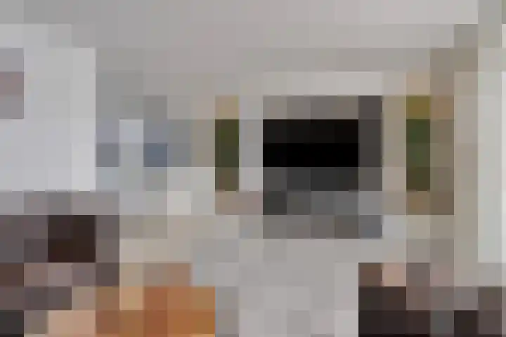 Schout van Haestrechtsingel 28 's-Hertogenbosch thumbnail 11
