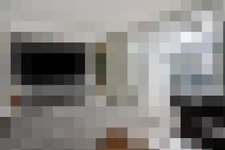 Schout van Haestrechtsingel 28 's-Hertogenbosch thumbnail 12