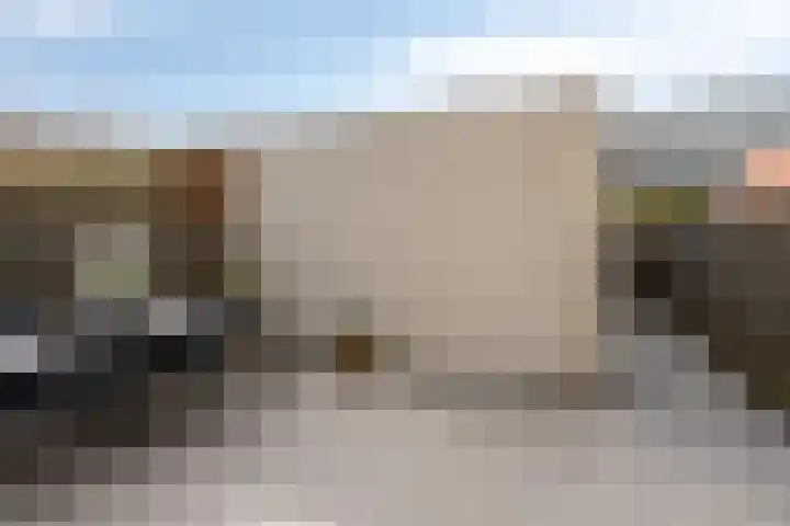 Schout van Haestrechtsingel 28 's-Hertogenbosch thumbnail 14