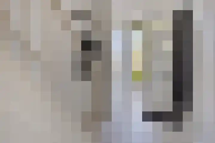 Schout van Haestrechtsingel 28 's-Hertogenbosch thumbnail 18
