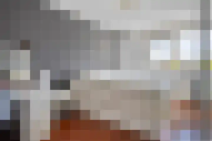 Schout van Haestrechtsingel 28 's-Hertogenbosch thumbnail 20