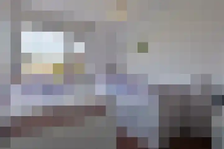 Schout van Haestrechtsingel 28 's-Hertogenbosch thumbnail 23