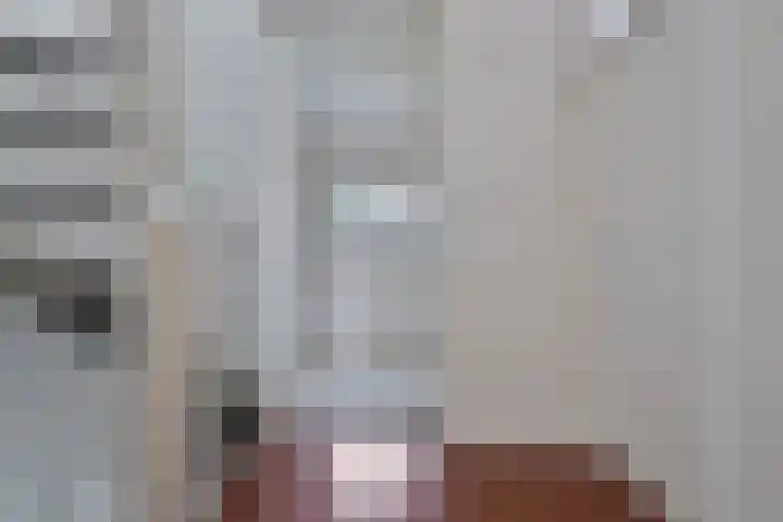 Schout van Haestrechtsingel 28 's-Hertogenbosch thumbnail 26