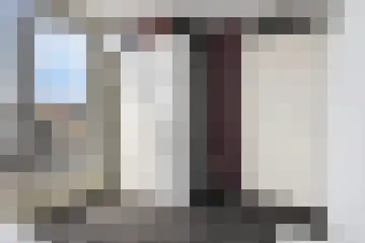Schout van Haestrechtsingel 28 's-Hertogenbosch thumbnail 30