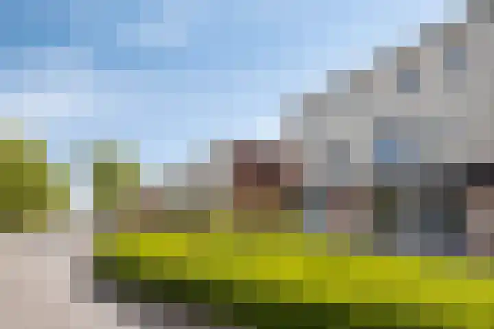 Schout van Haestrechtsingel 28 's-Hertogenbosch thumbnail 33