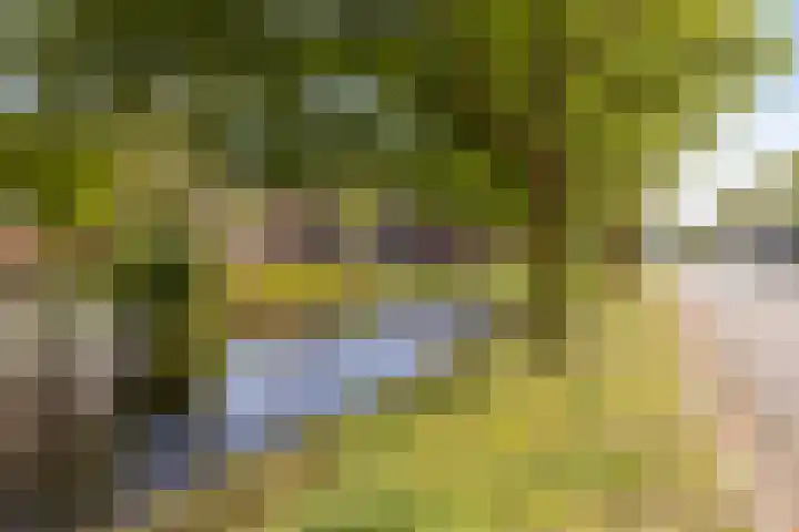 Schout van Haestrechtsingel 28 's-Hertogenbosch thumbnail 36