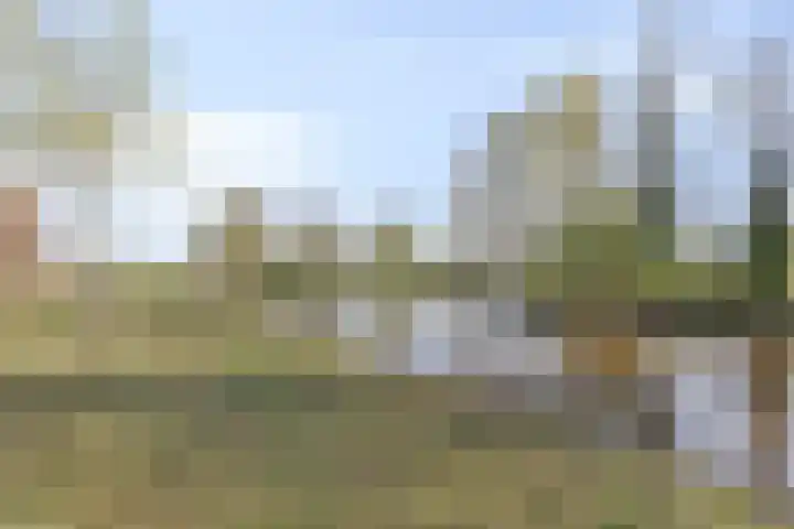 Schout van Haestrechtsingel 28 's-Hertogenbosch thumbnail 37