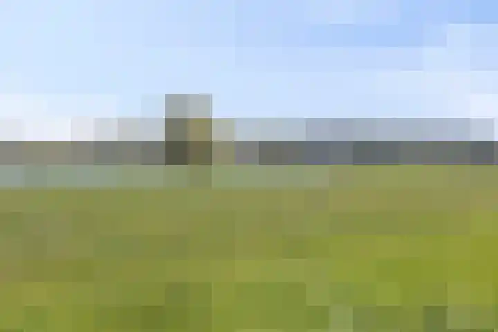 Schout van Haestrechtsingel 28 's-Hertogenbosch thumbnail 39